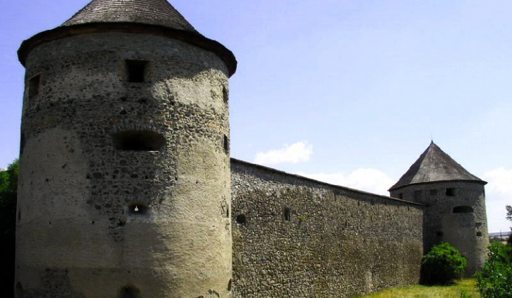 Hrad Bzovík